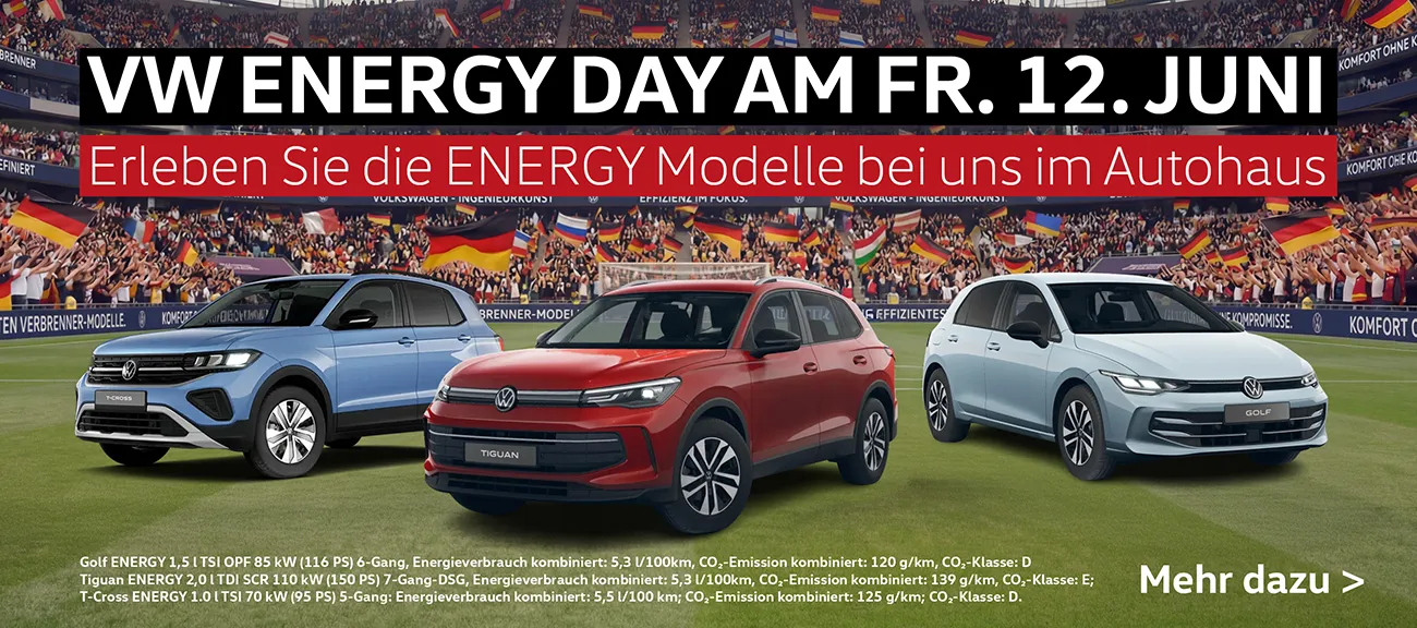 Energy Day