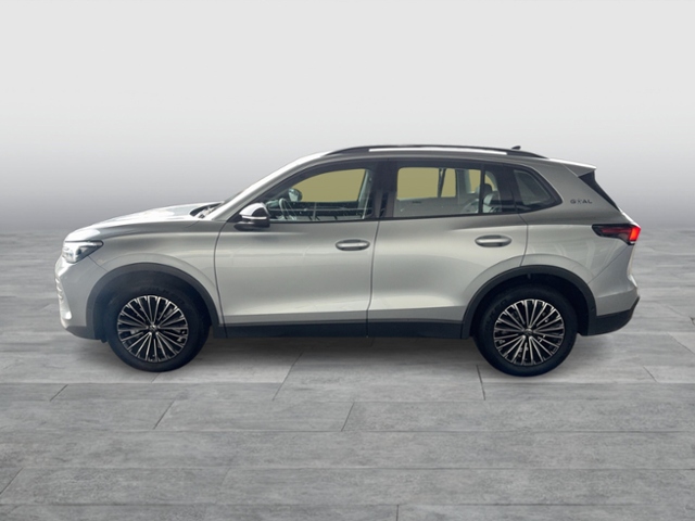 Tiguan GOAL 2.0 TDI DSG NAVI STANDHZG AREA VIEW