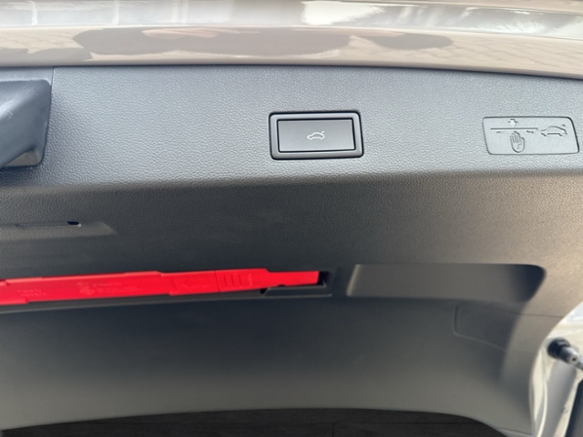 Golf VIII Variant GOAL 1.5 eTSI OPF DSG AHK REAR