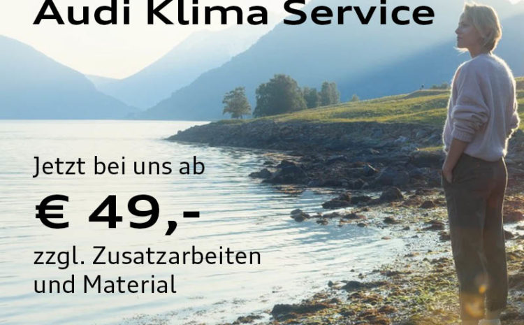  Audi Klima Service